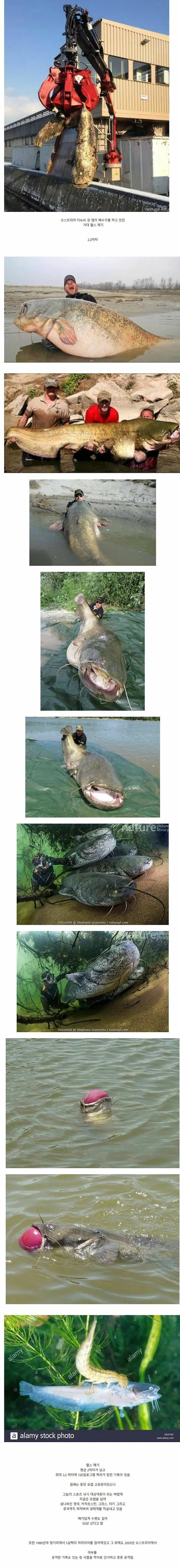 댐을 막고 있던 거대한 괴물의 정체