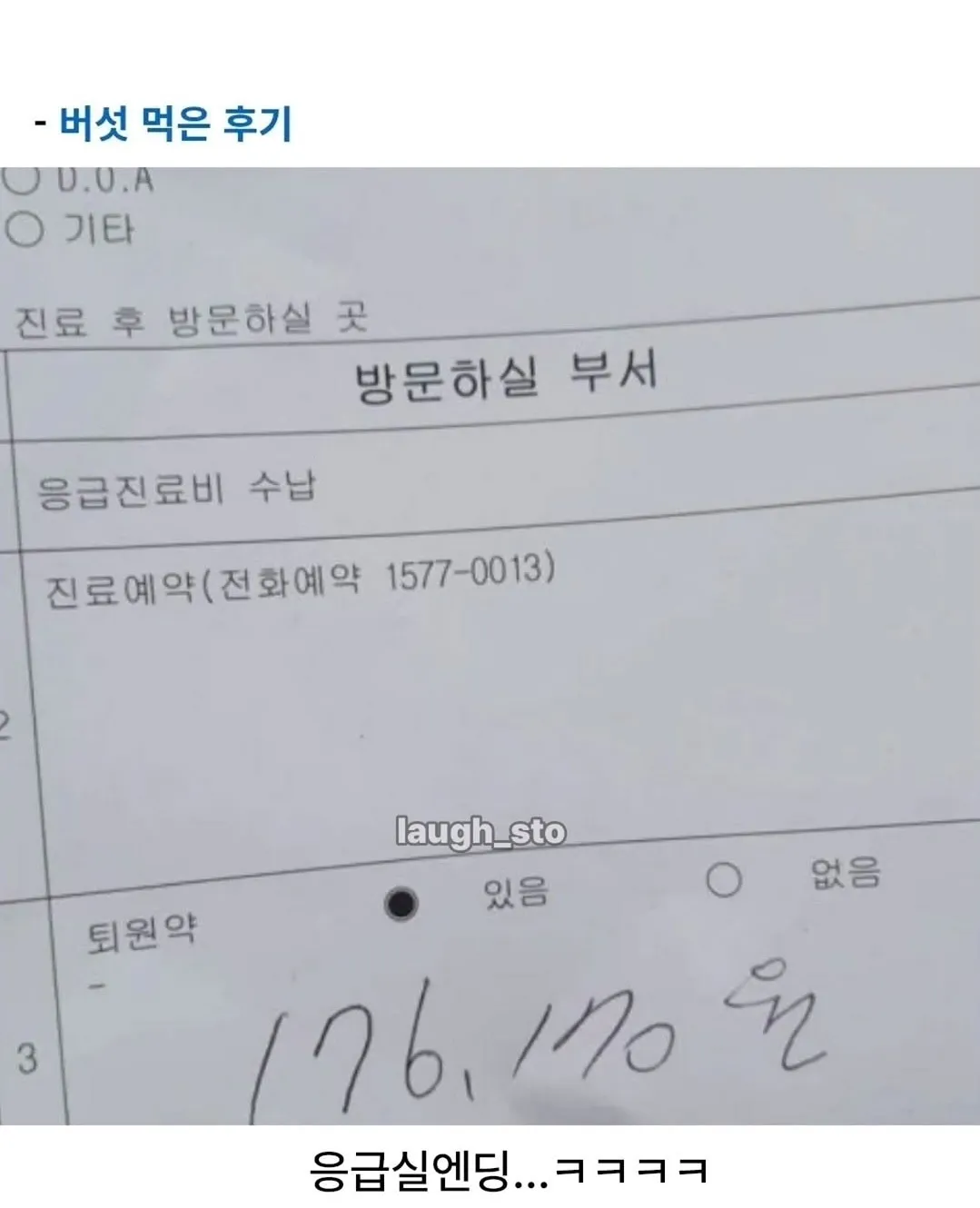 정체불명의 버섯을 먹어본 디시인.jpg