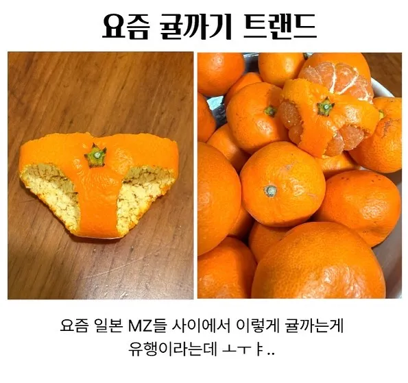 요즘 귤까기 트랜드
