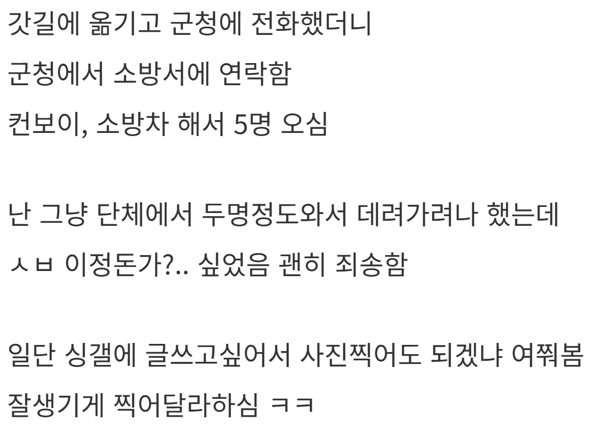 새해 초부터 고라니와 교통사고 난 디씨인.jpg