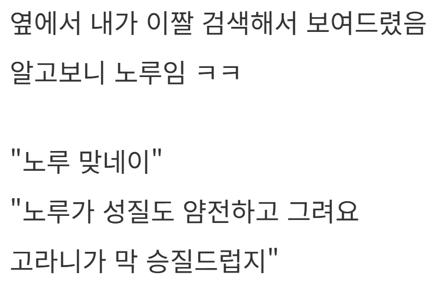 새해 초부터 고라니와 교통사고 난 디씨인.jpg