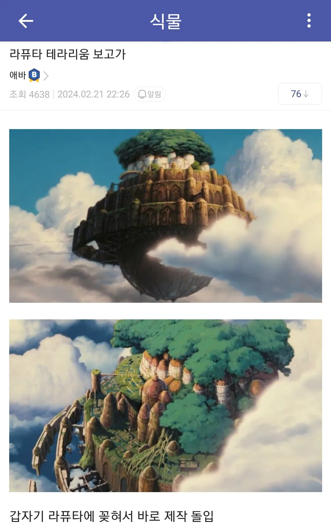 공중부양 라퓨타 화분을 만든 식갤러.jpg