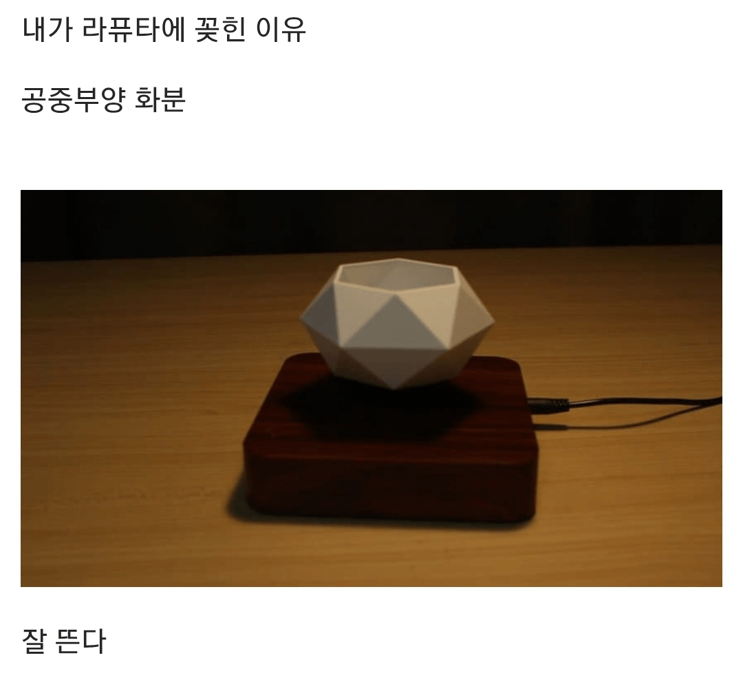 공중부양 라퓨타 화분을 만든 식갤러.jpg