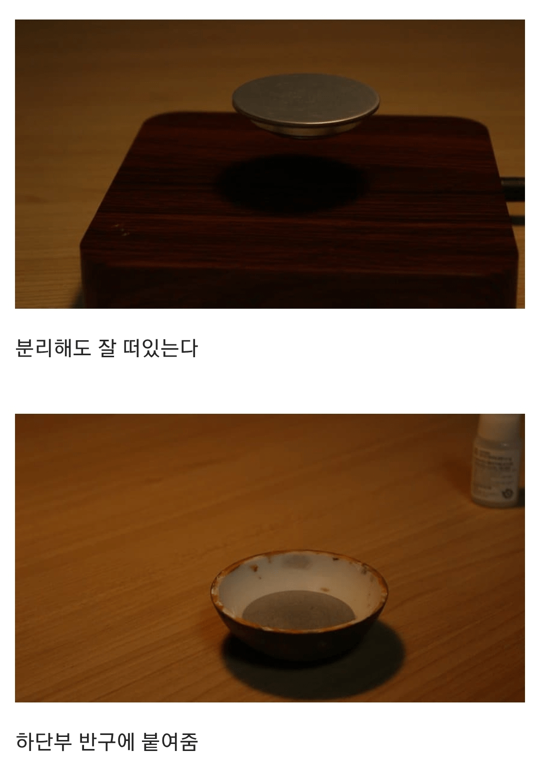 공중부양 라퓨타 화분을 만든 식갤러.jpg
