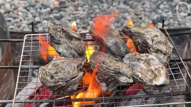 캠핑장에서 한식?을 해먹는 일본인