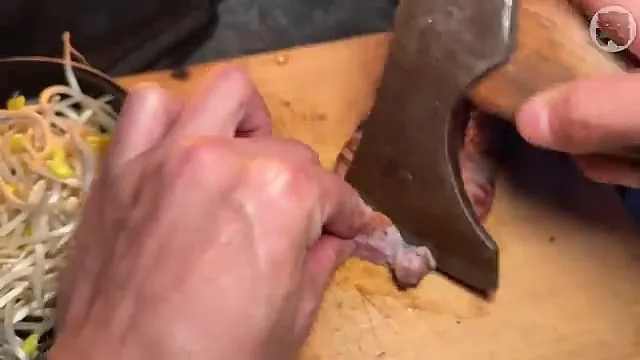 캠핑장에서 한식?을 해먹는 일본인