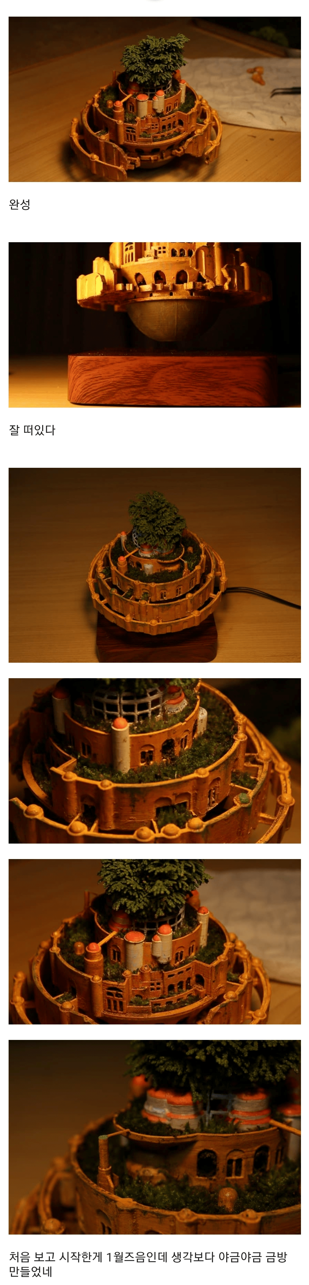 공중부양 라퓨타 화분을 만든 식갤러.jpg