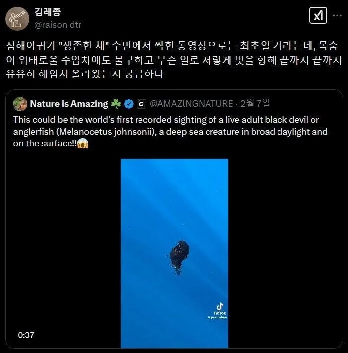 심해 아귀가 찍힌 영상