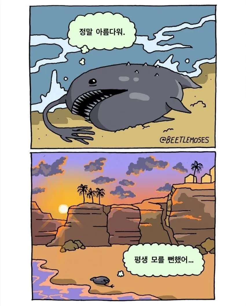 심해 아귀가 찍힌 영상