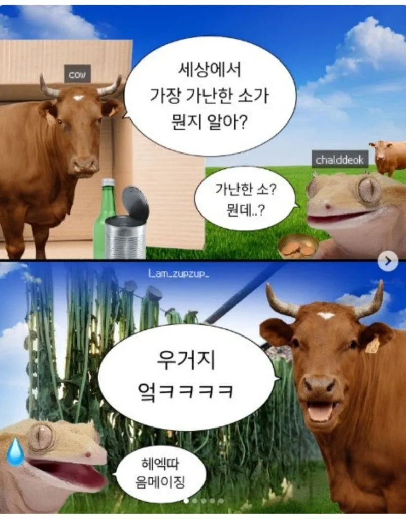 세상에서 가장 가난한 소