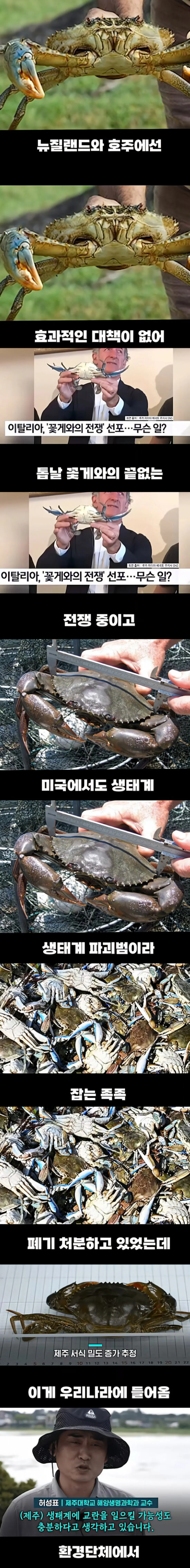 해외에선 생태계 파괴범인데 한국에선 밥도둑