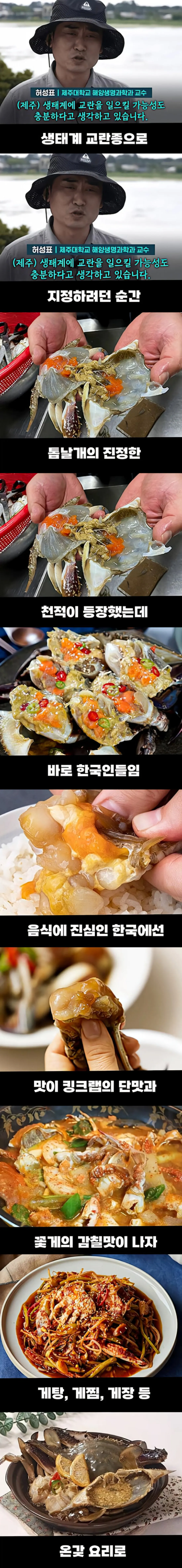 해외에선 생태계 파괴범인데 한국에선 밥도둑