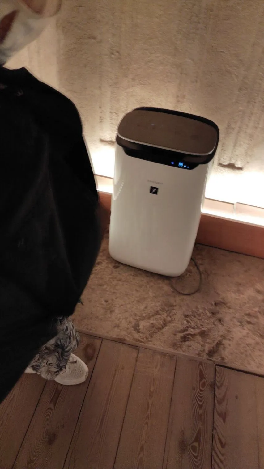 요즘 이집트 피라미드 내부 근황