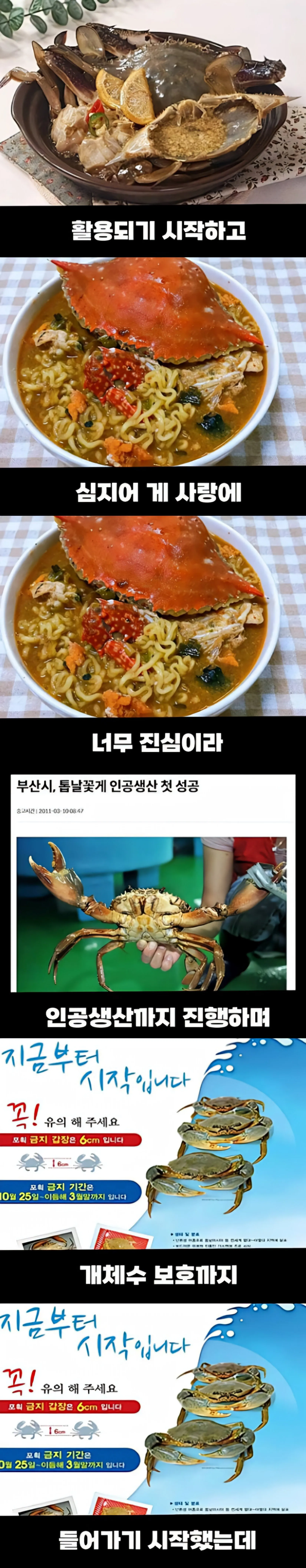 해외에선 생태계 파괴범인데 한국에선 밥도둑