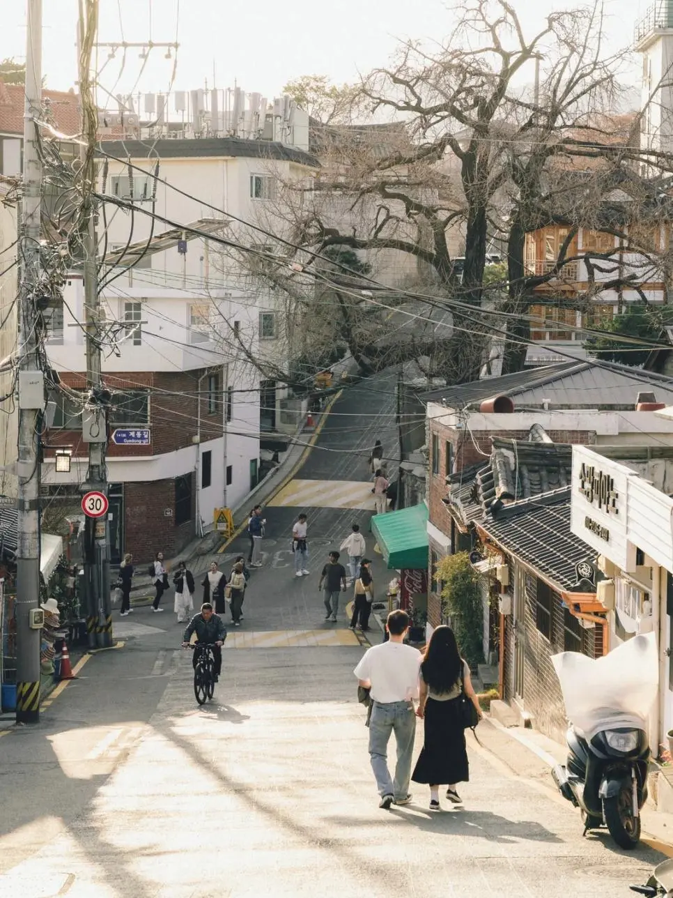 외국인이 찍은 창덕궁길 사계절 모습