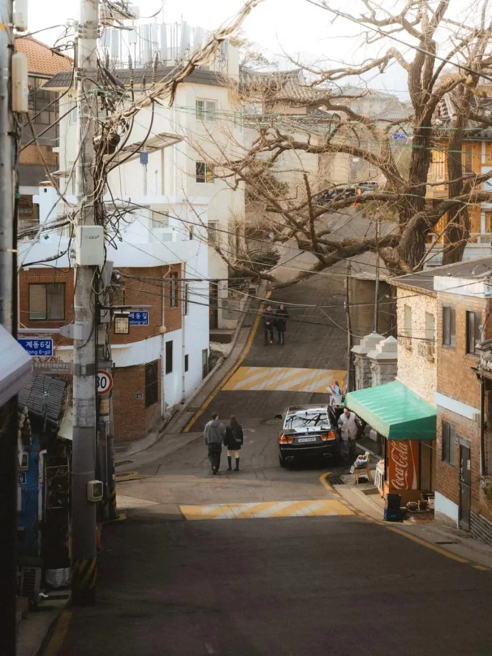 외국인이 찍은 창덕궁길 사계절 모습