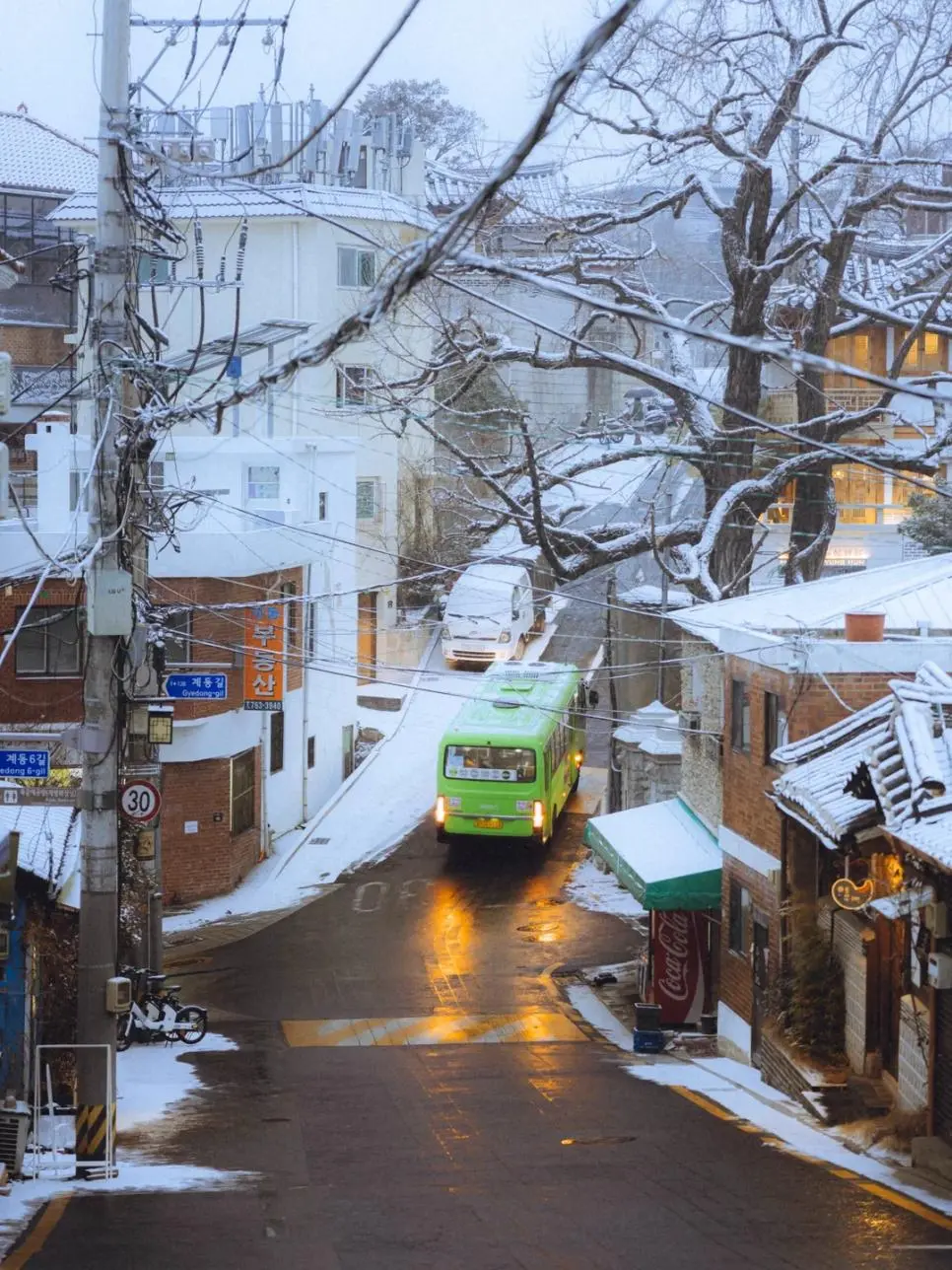 외국인이 찍은 창덕궁길 사계절 모습