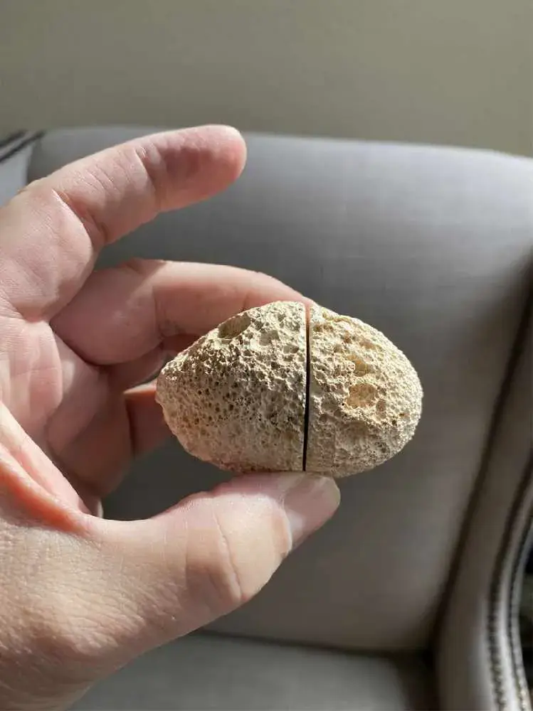 브라질에서 약 1000만원에 팔렸다는 돌