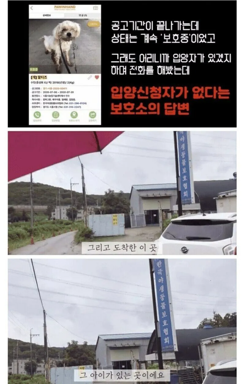 안락사 대상인 유기견