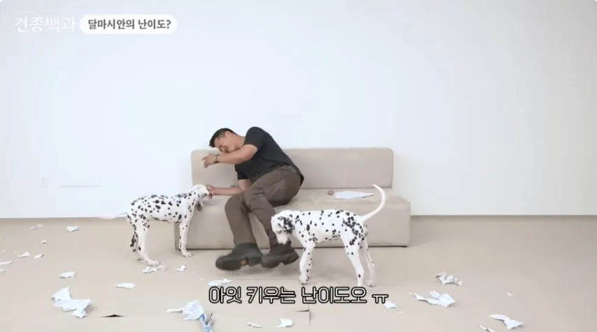 유튜브 개통령도 키우지 말라고 하는 개.jpg