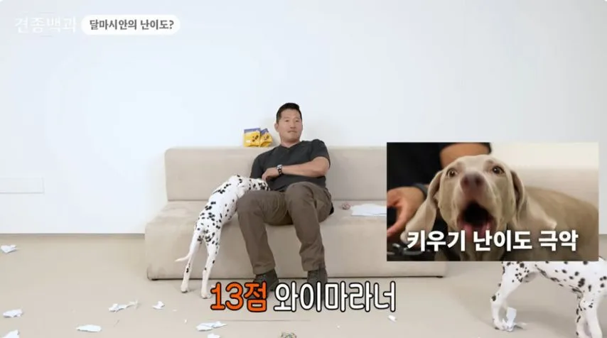 유튜브 개통령도 키우지 말라고 하는 개.jpg