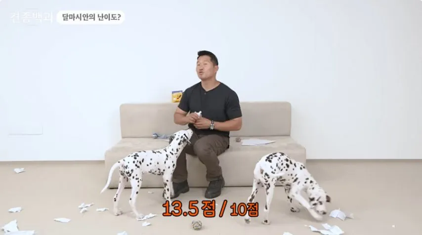 유튜브 개통령도 키우지 말라고 하는 개.jpg