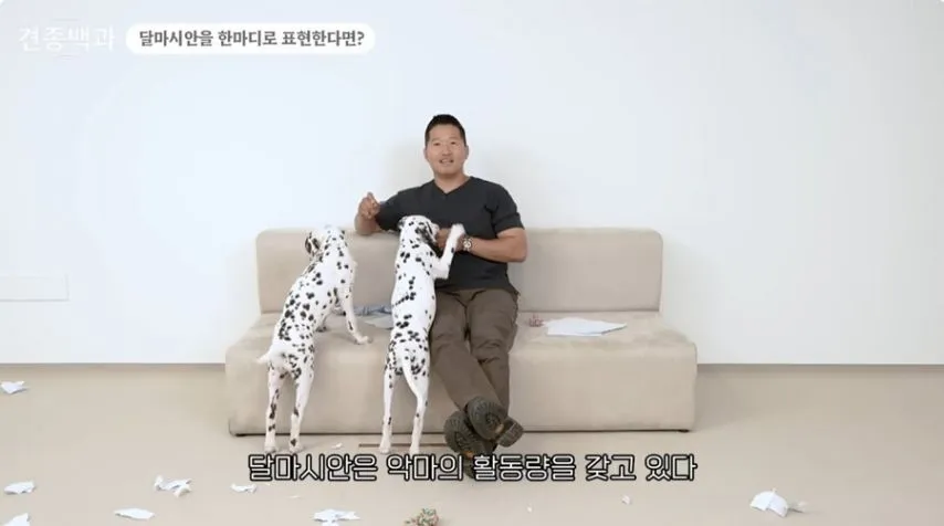 유튜브 개통령도 키우지 말라고 하는 개.jpg