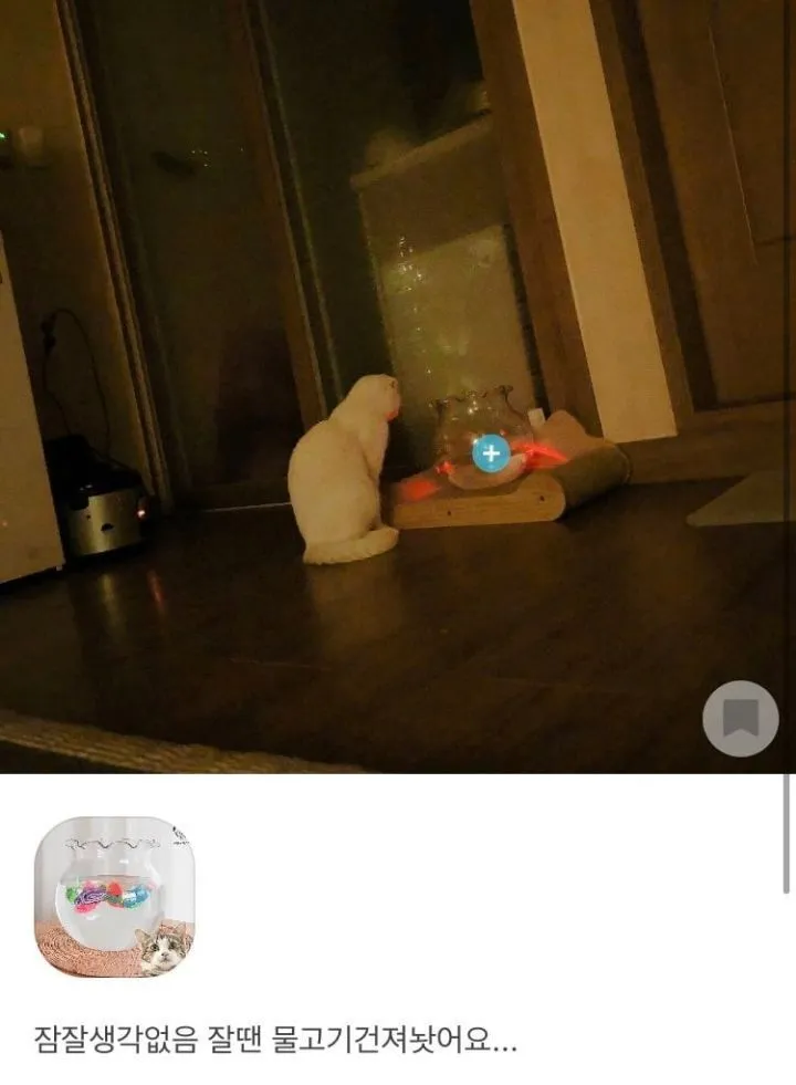 신뢰도 확실한 후기