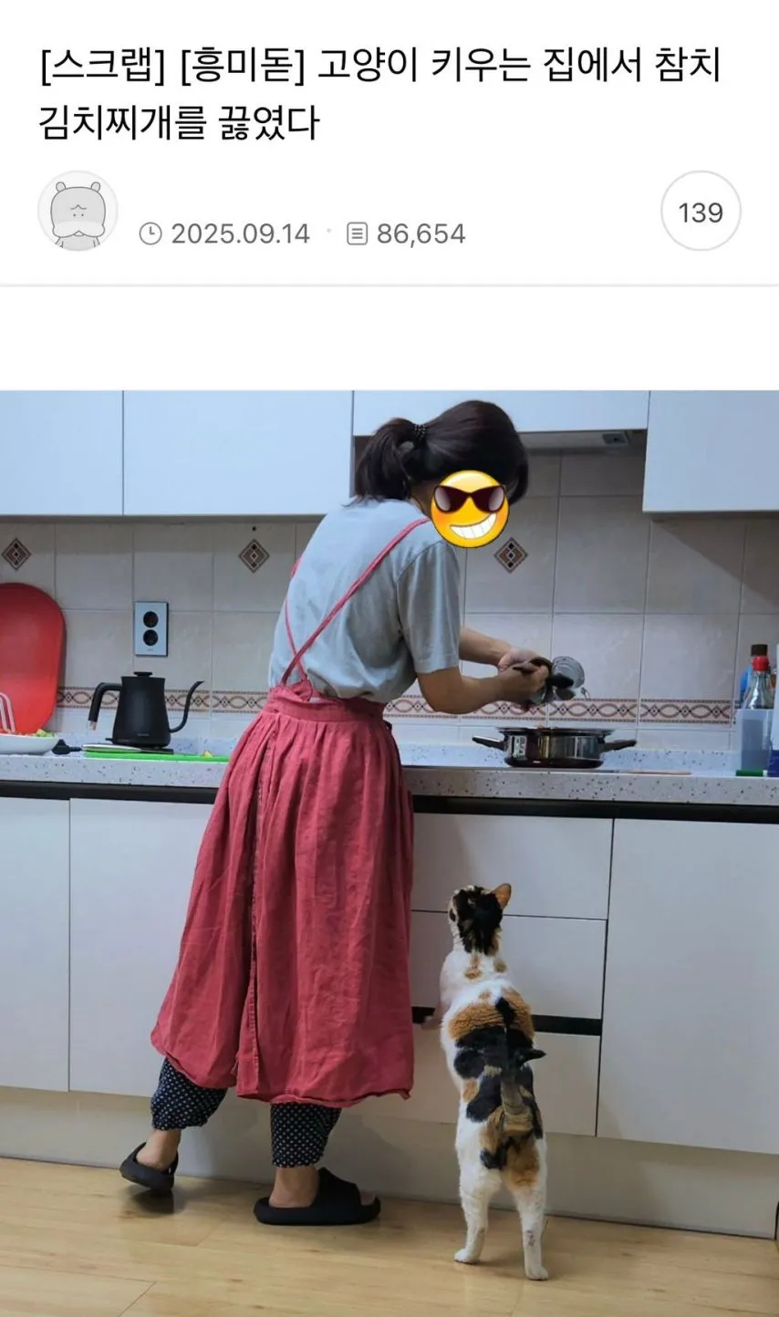 고양이 키우는 집에서 참치찌개를 끓였다