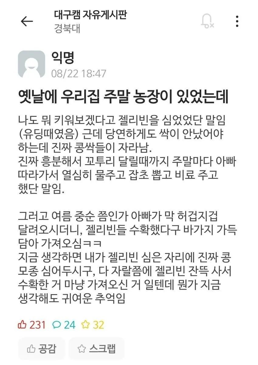 콩 심은데 콩나고 젤리빈 심은데