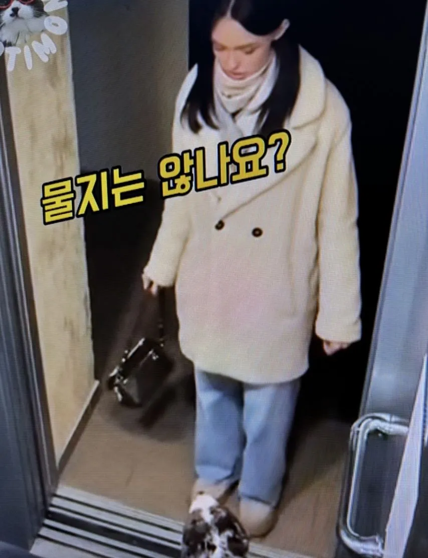 엘리베이터와 강아지