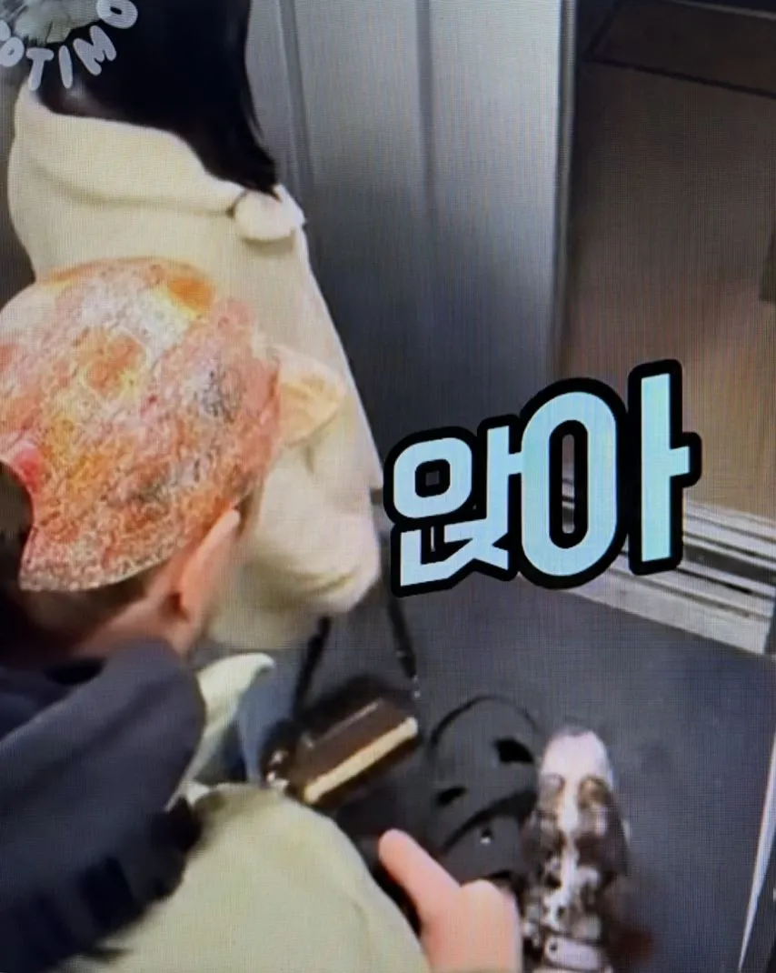 엘리베이터와 강아지