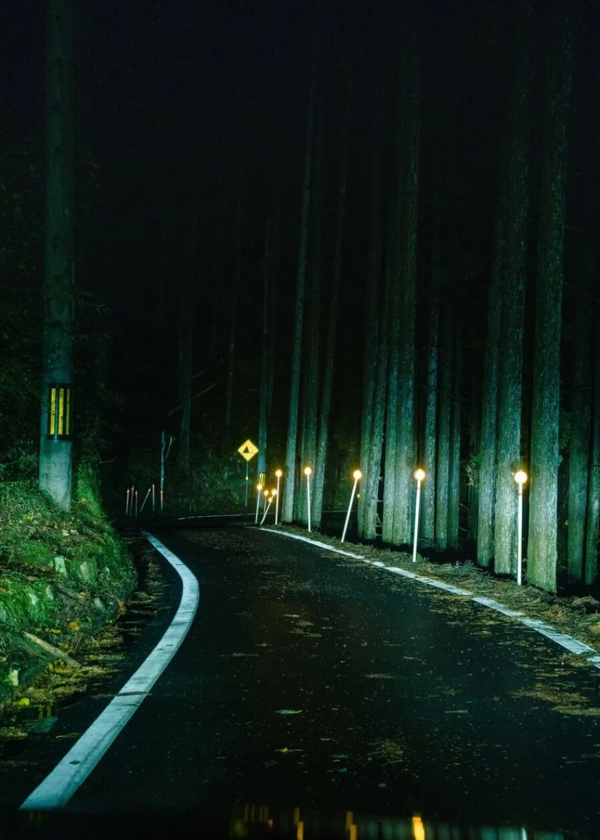 구글 지도가 안내해 준 음침한 고갯길