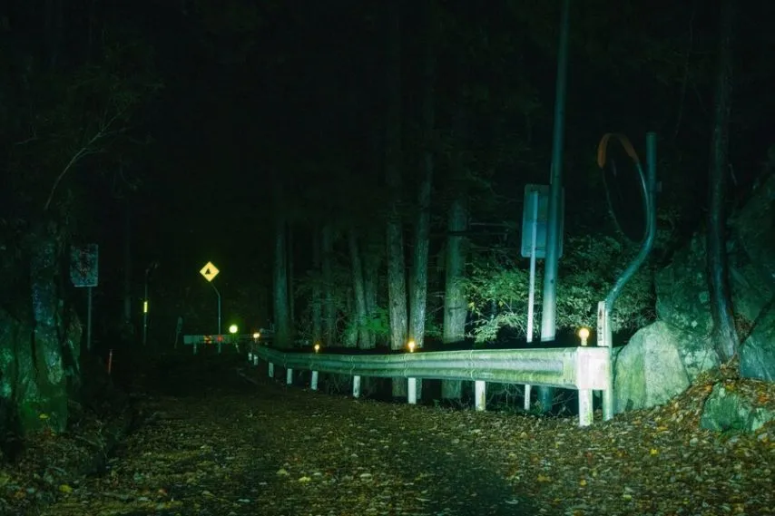 구글 지도가 안내해 준 음침한 고갯길