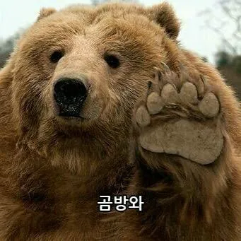 구글 지도가 안내해 준 음침한 고갯길