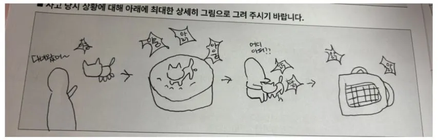 펫보험 청구하는데 그림 그리래.