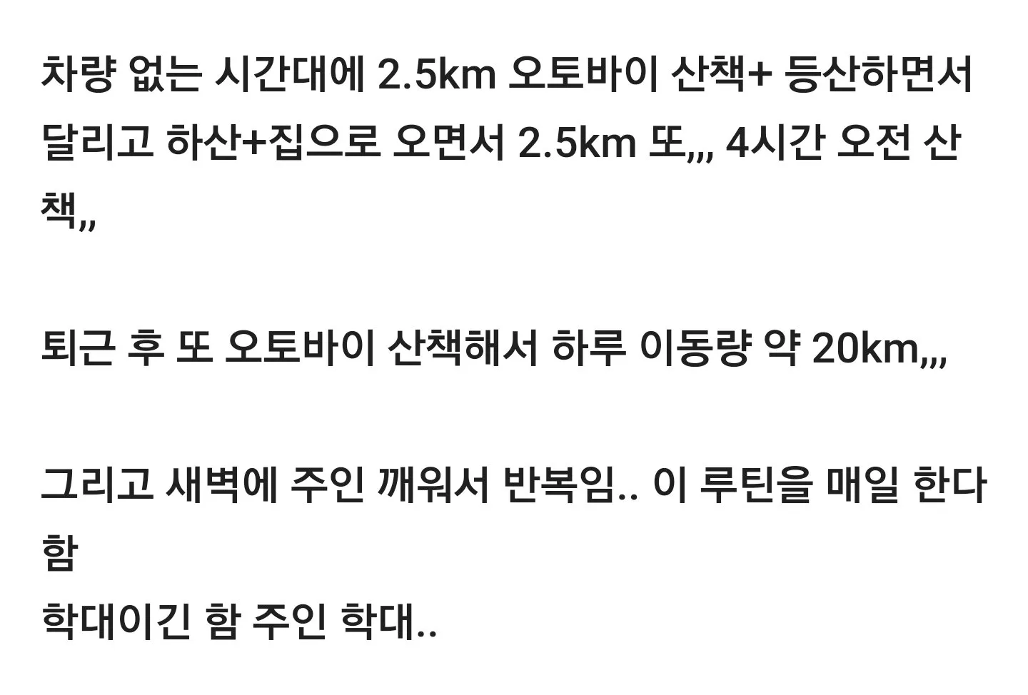 학대라고 논란 있었던 썰매견 강아지 동물농장 나옴