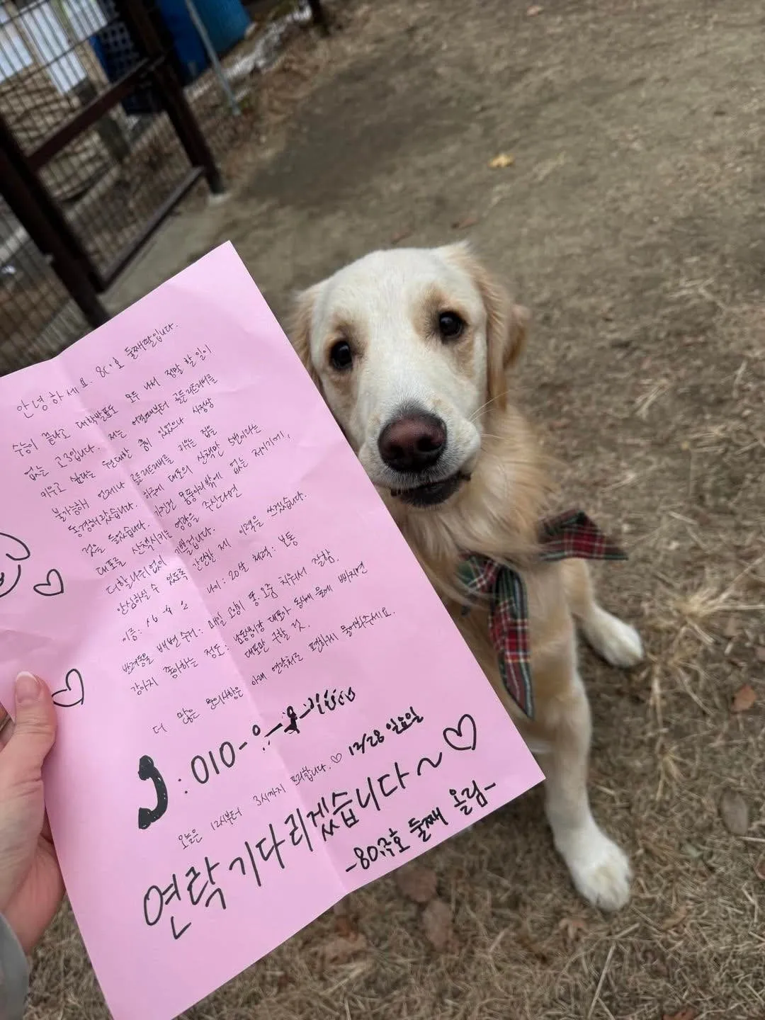 옆집 둘째딸의 이력서