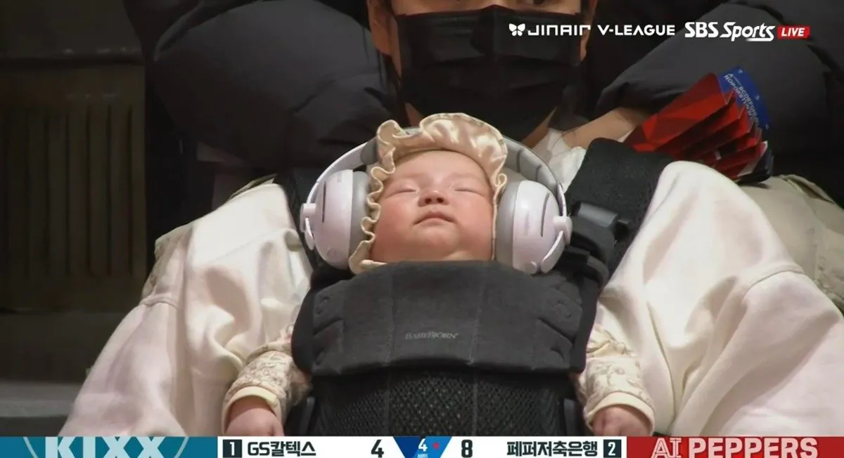 배구 경기장에서 노캔 헤드폰 끼고 수면중인 아기 관객