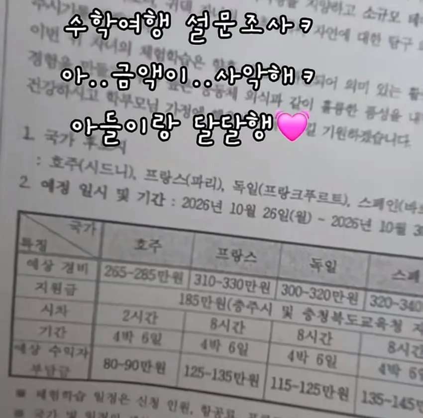 요즘 초등학교 수학여행 근황