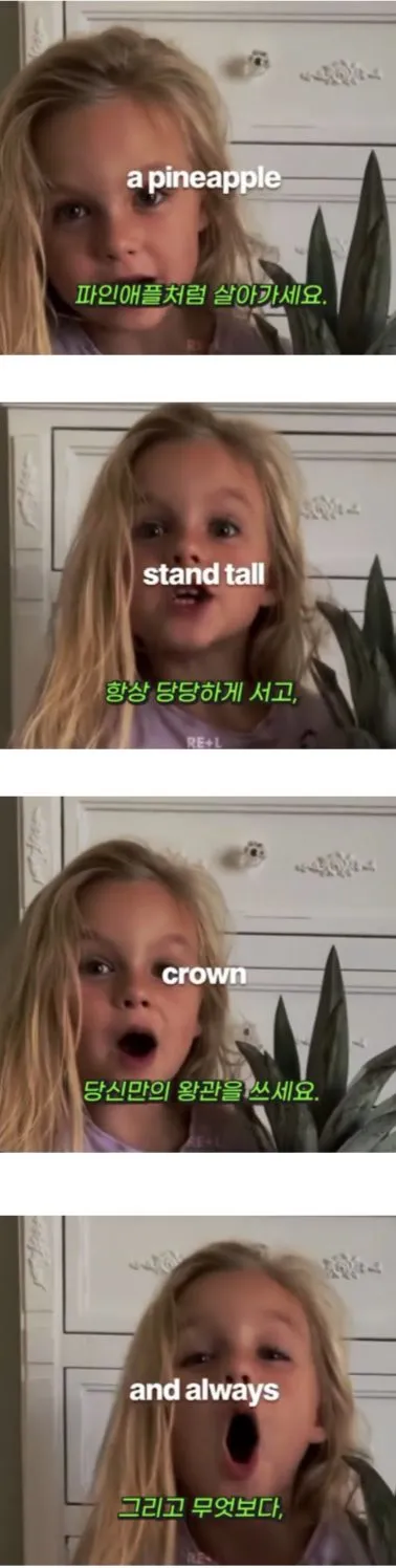 파인애플처럼 살아가세요