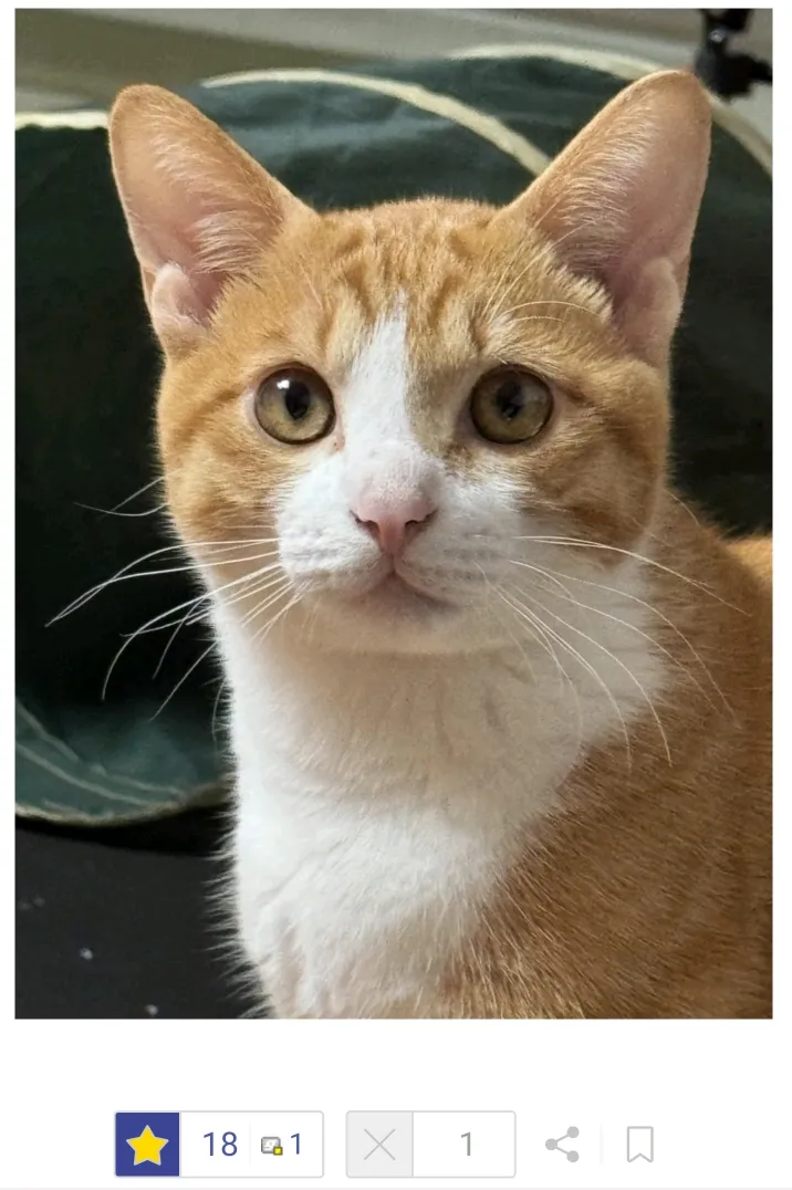 해고당한 막내 직원때문에 회사가 박살나게 생김.JPG