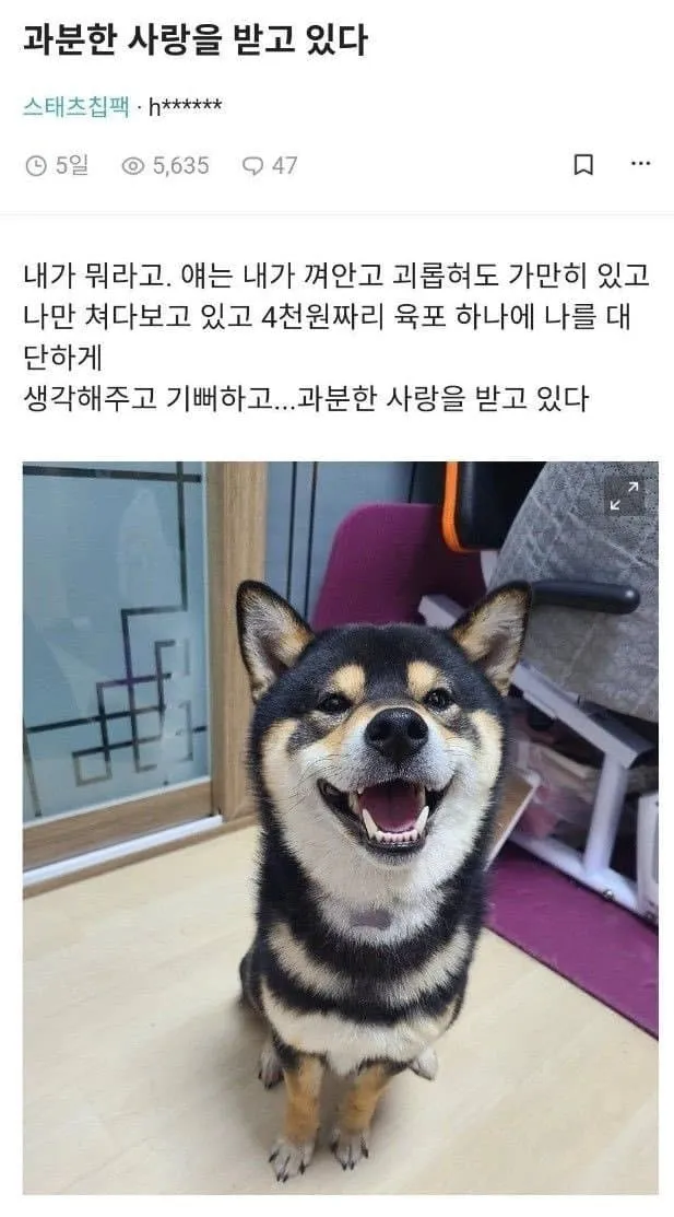 과분한 사랑을 받고 있다