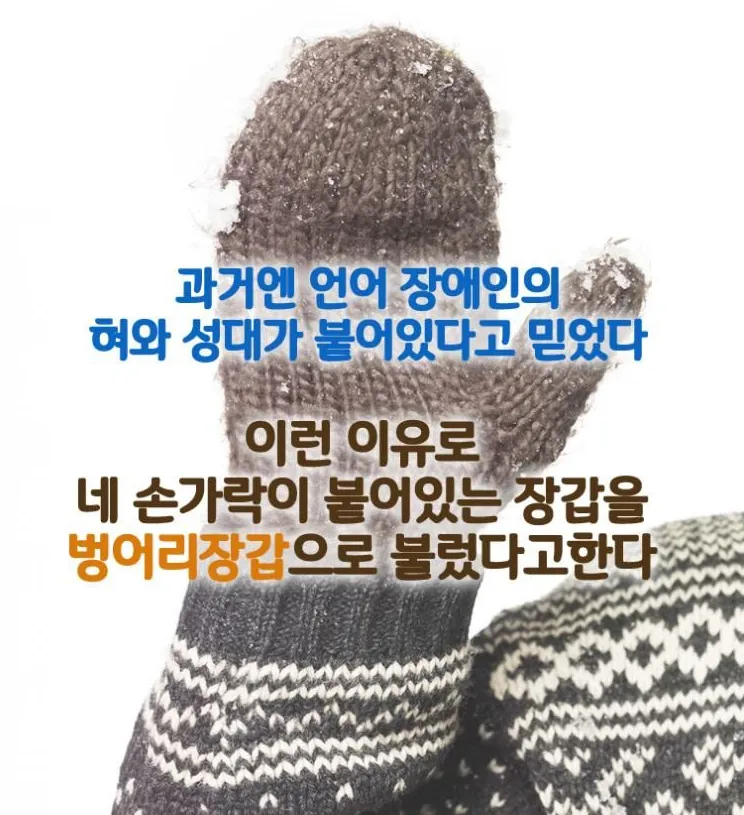 개붕이들 대부분 모르는 사실