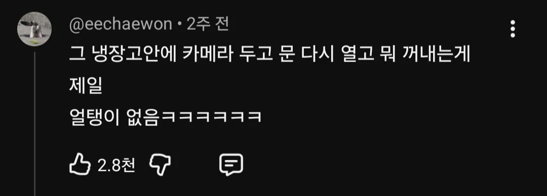 브이로그는 전부 가짜라는 여배우