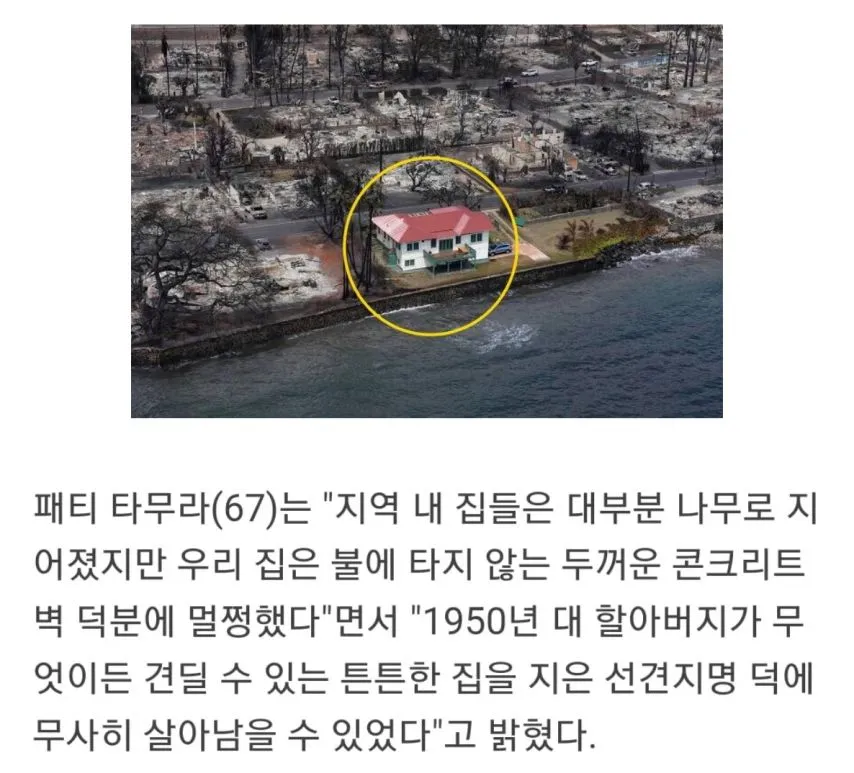 하와이 화재에서 살아남은 집