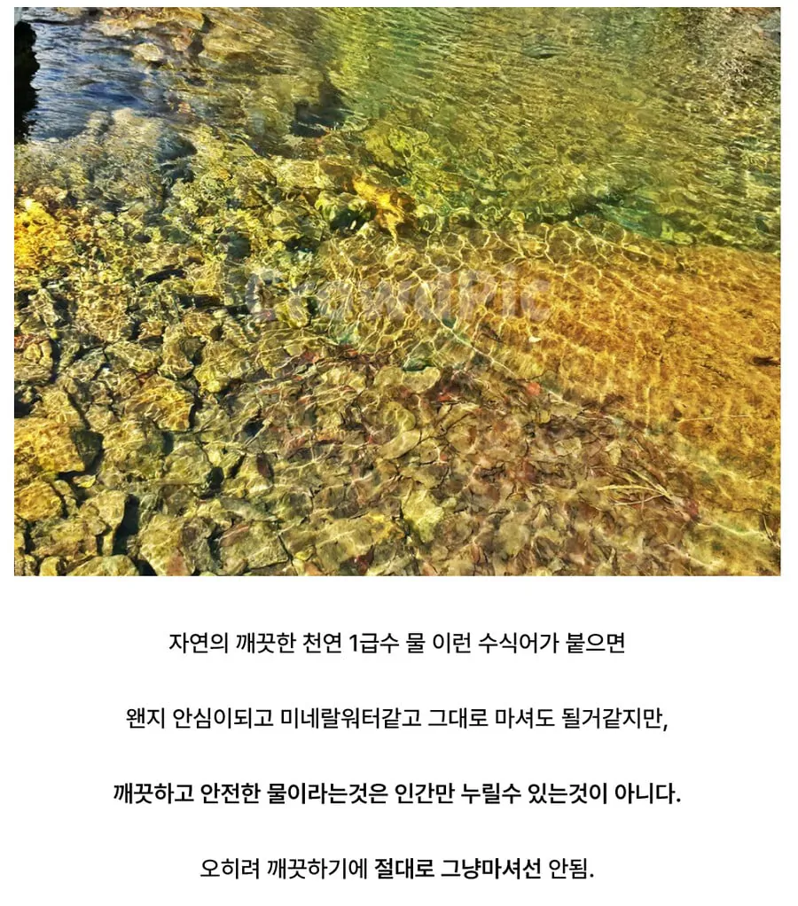 사람들이 깨끗한 물을 보고 흔히 하는 착각