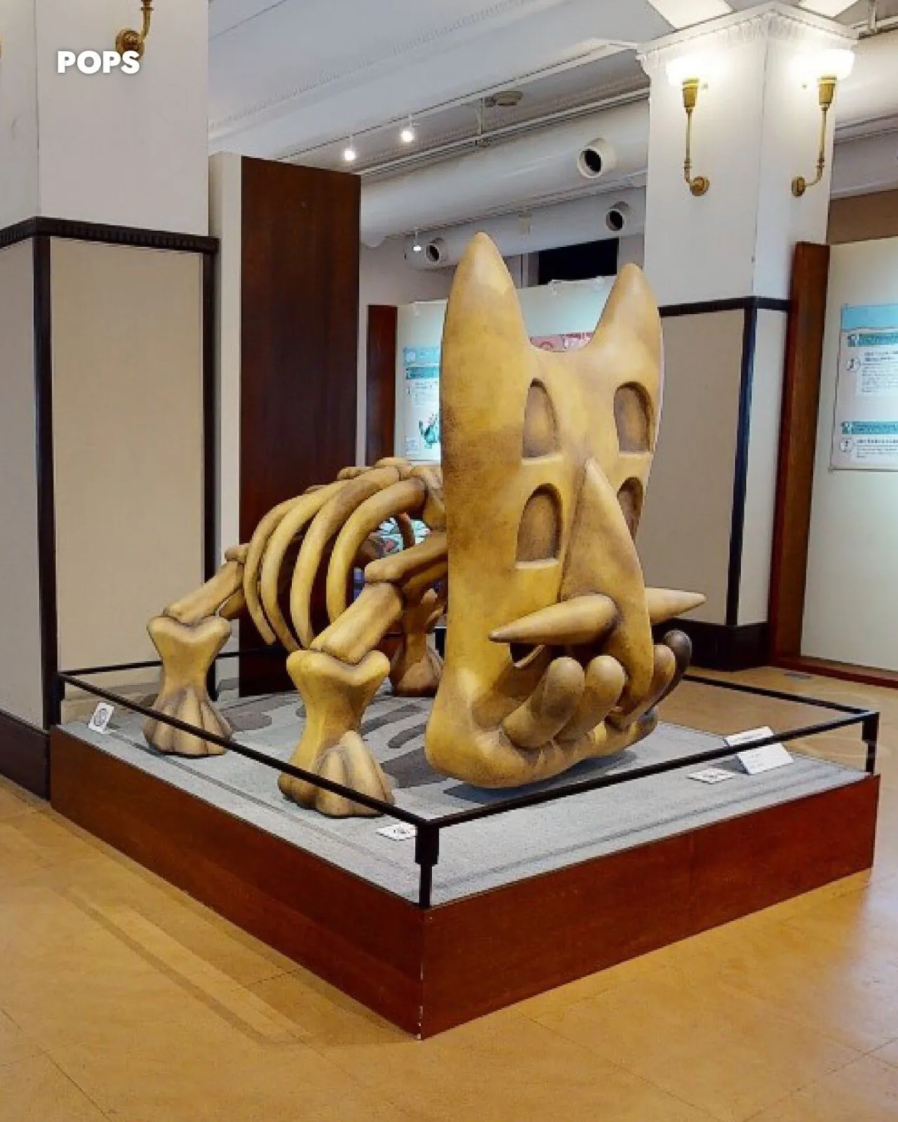 포켓몬이 실존 한다는 증거.JPEG