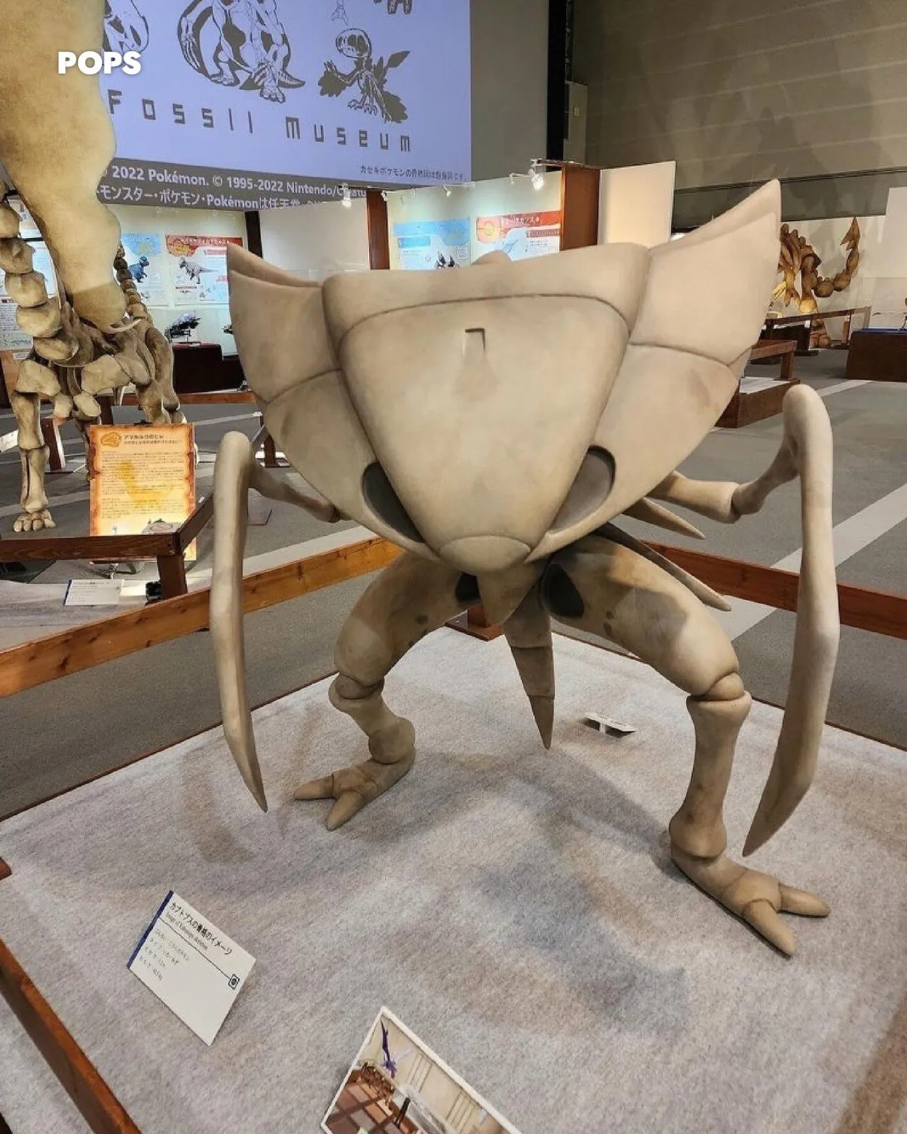 포켓몬이 실존 한다는 증거.JPEG