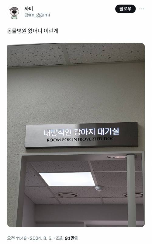 동물병원 왔더니 이런게